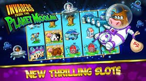bmax live Live Casino